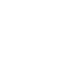 Pure Maple